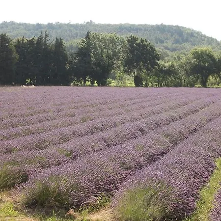 Charmant T2 Entre Drome Provencale Et Ardeche Feriehus *
